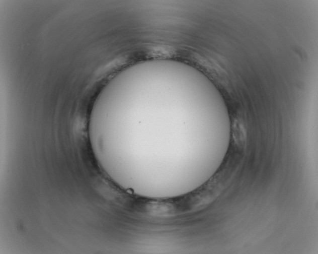 X0000115220714200911121924