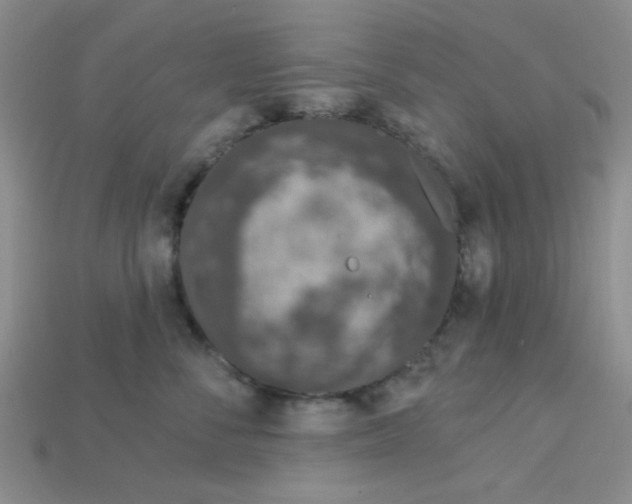 X0000115220716200911121924