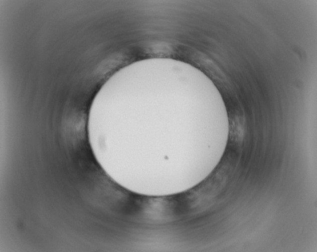 X0000115220717200911121924