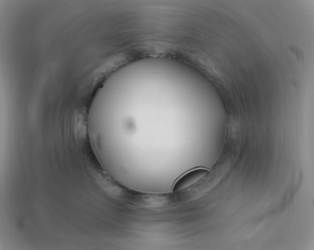 X0000115220719200911121924