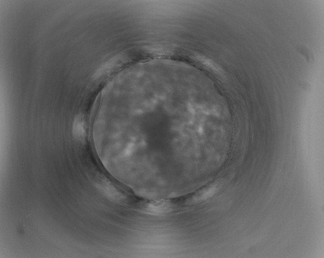 X0000115220720200911121924