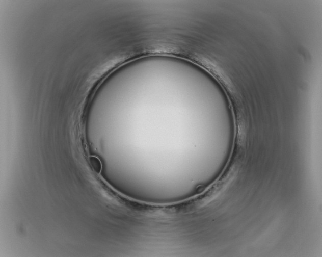 X0000115220721200911121924