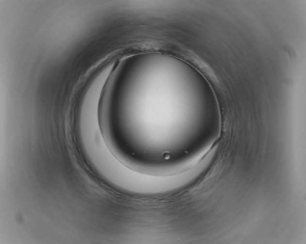 X0000115220722200911121924