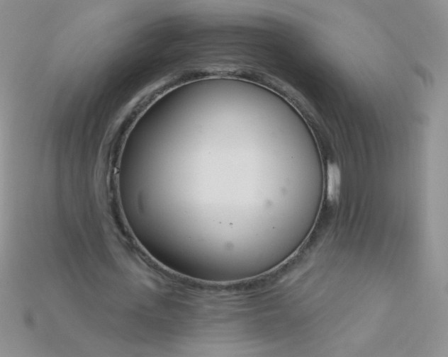 X0000115220723200911121924