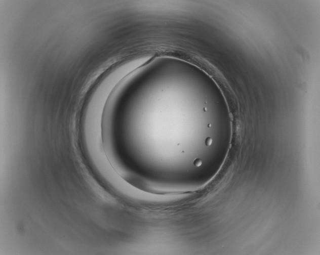 X0000115220725200911121924