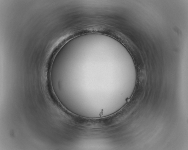 X0000115220727200911121924