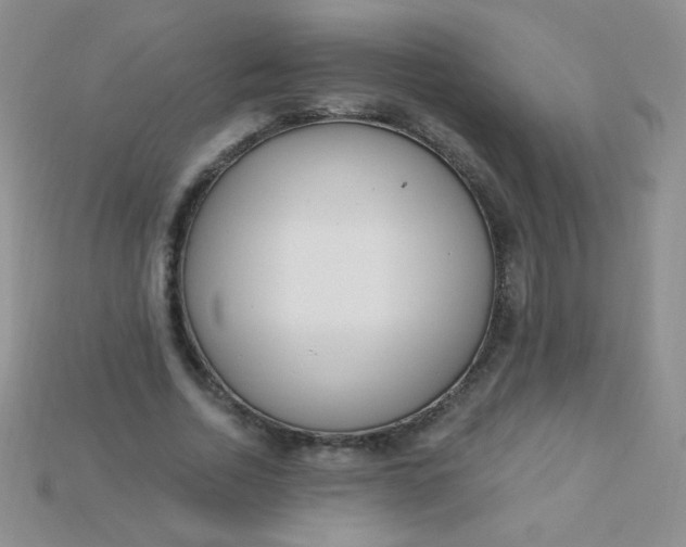 X0000115220730200911121924
