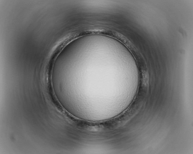 X0000115220731200911121924