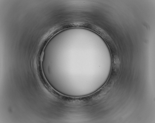 X0000115220734200911121924