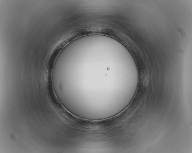 X0000115220735200911121924