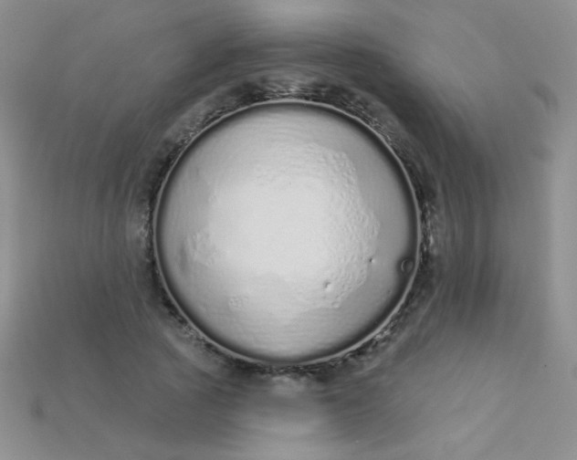 X0000115220737200911121924