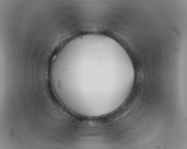 X0000115220739200911121924