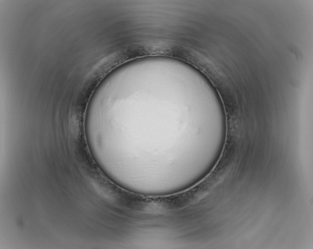 X0000115220741200911121924