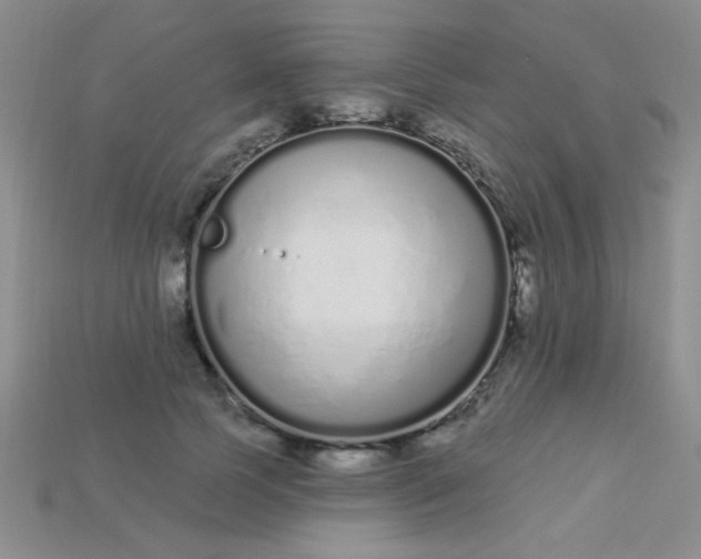 X0000115220745200911121924