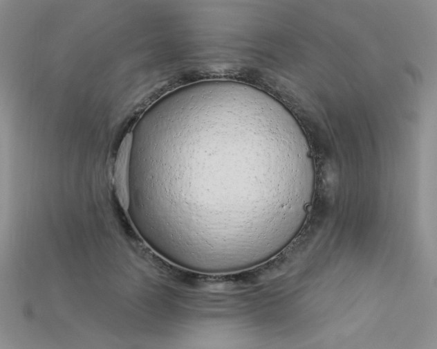 X0000115220746200911121924