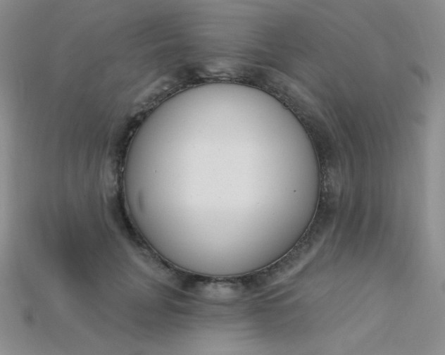 X0000115220751200911121924