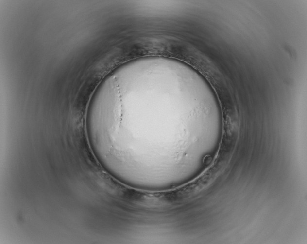 X0000115220753200911121924