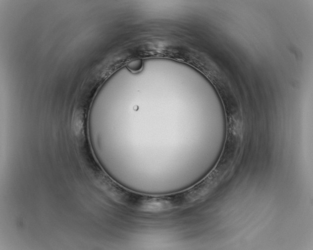 X0000115220754200911121924