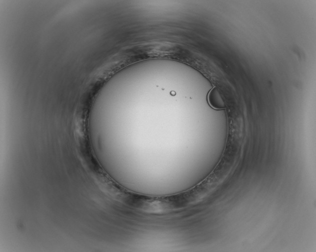 X0000115220755200911121924