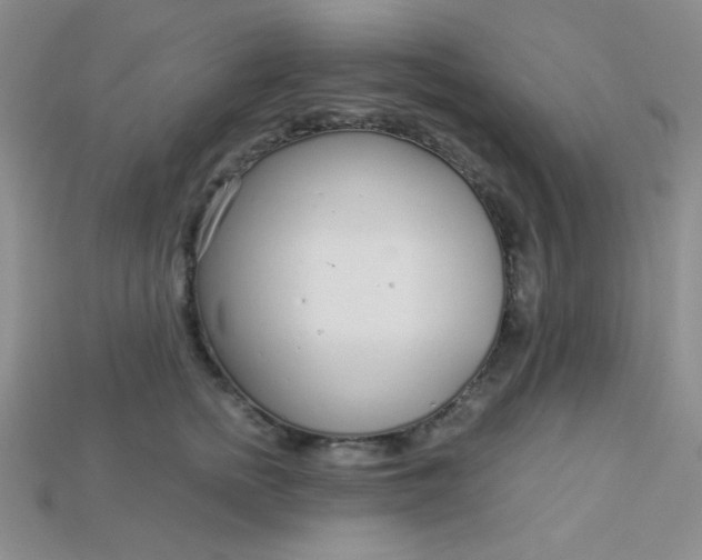 X0000115220758200911121924