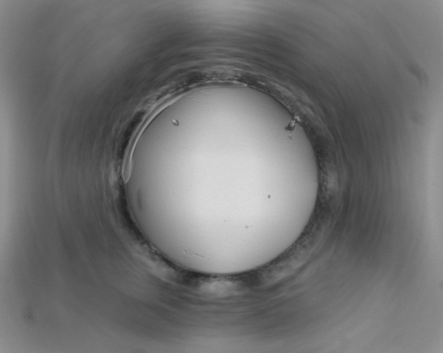 X0000115220759200911121924