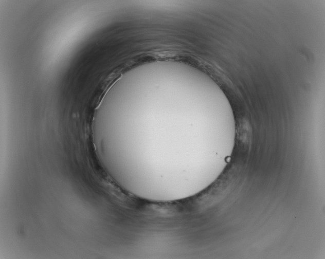 X0000115220763200911121924