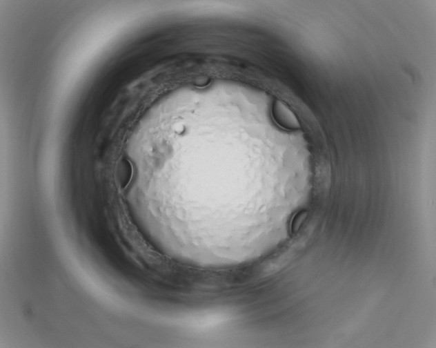 X0000115220765200911121924