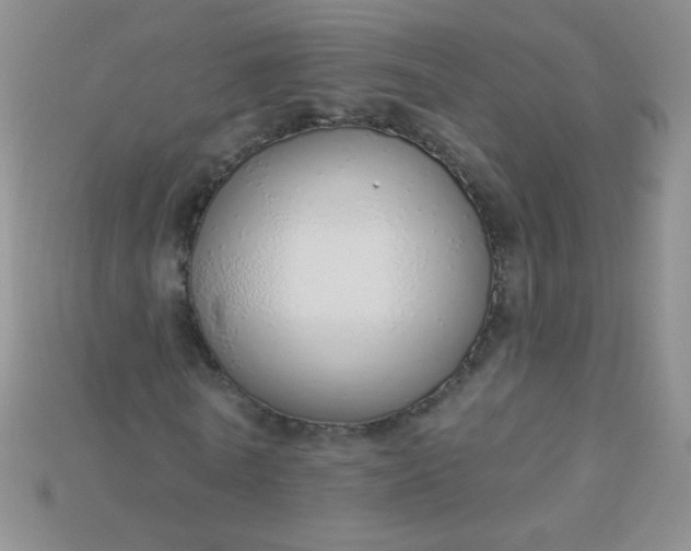 X0000115220770200911121924