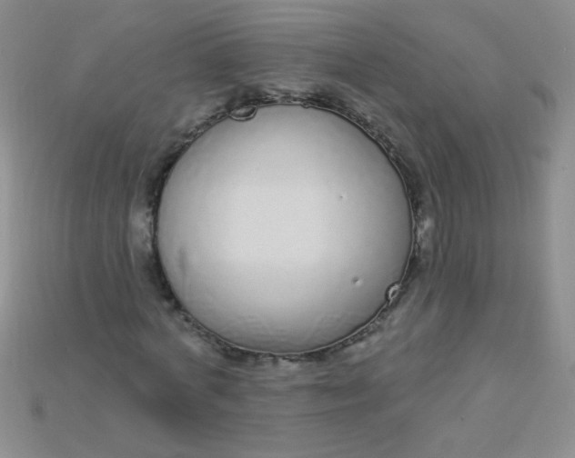 X0000115220772200911121924