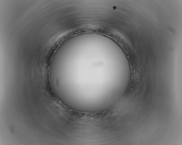 X0000115220773200911121924