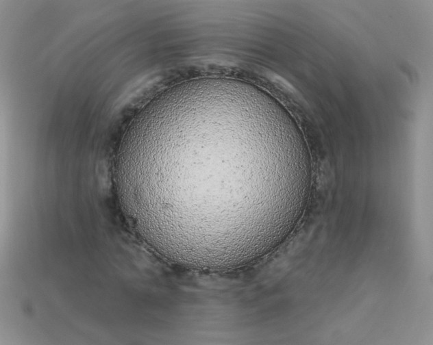 X0000115220774200911121924