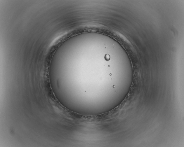 X0000115220775200911121924