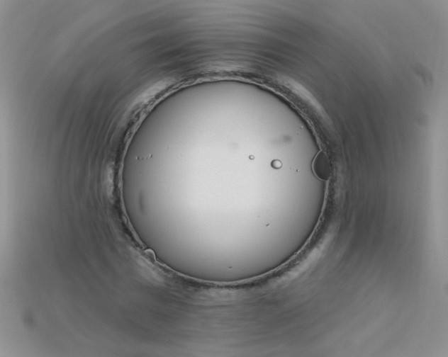 X0000115220777200911121924