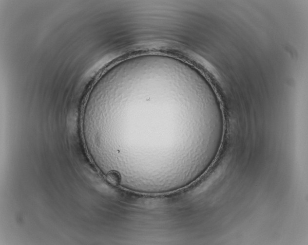 X0000115220778200911121924