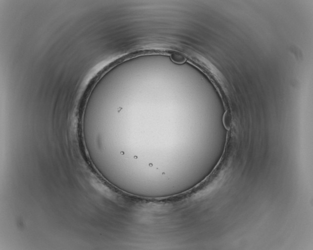 X0000115220779200911121924