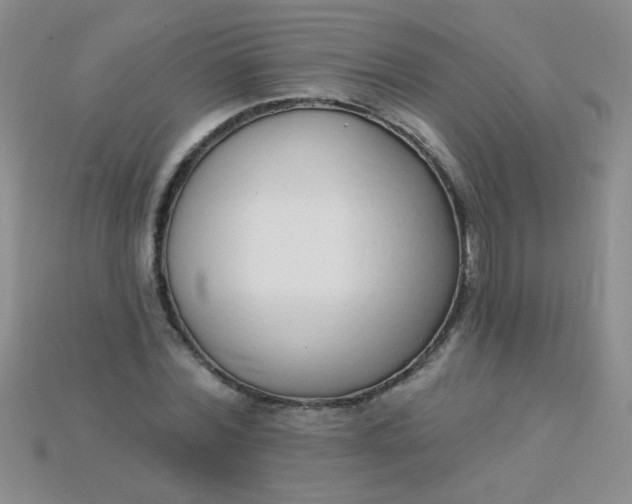 X0000115220780200911121924