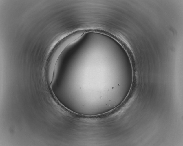 X0000115220781200911121924