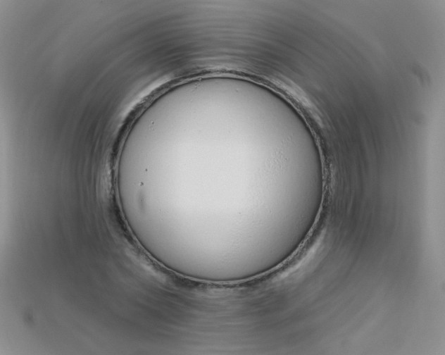 X0000115220782200911121924