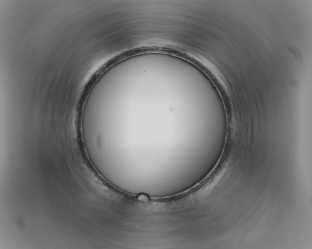 X0000115220783200911121924