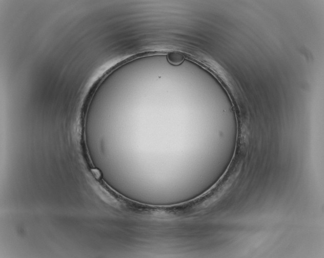 X0000115220787200911121924
