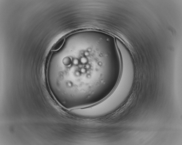 X0000115220788200911121924