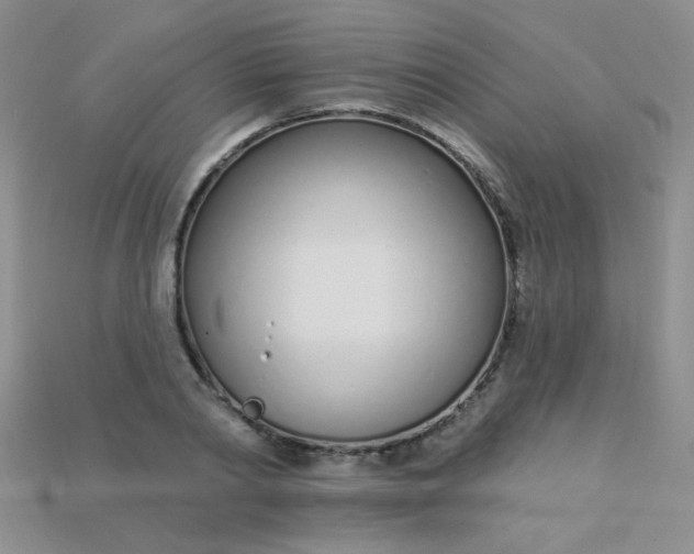 X0000115220790200911121924