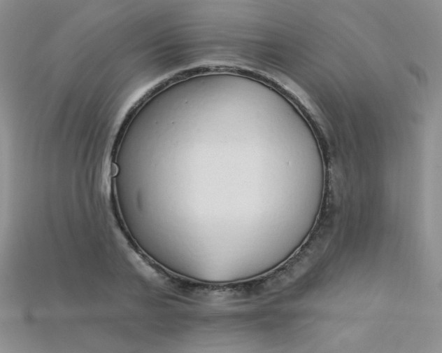 X0000115220791200911121924