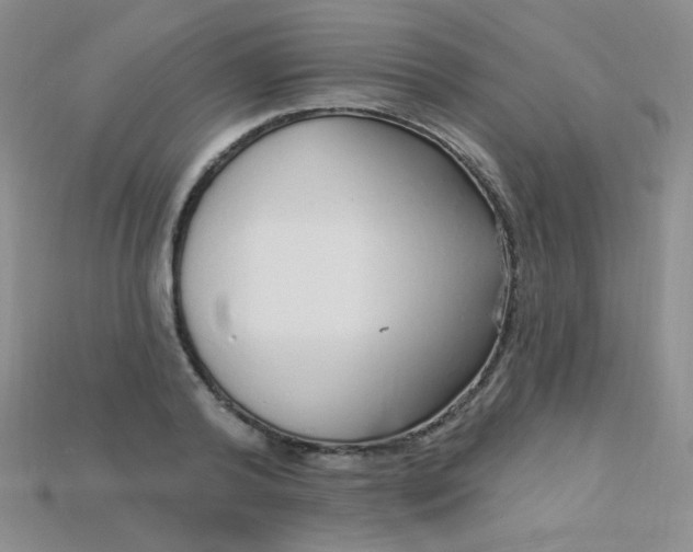 X0000115220792200911121923