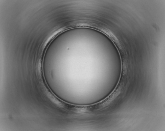 X0000115220798200911121923