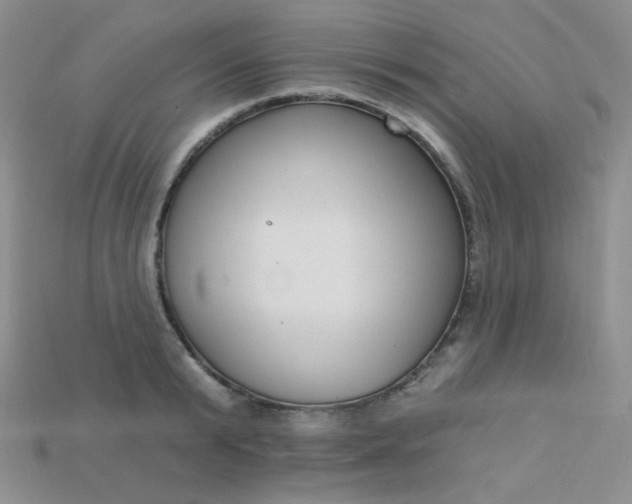 X0000115220799200911121923