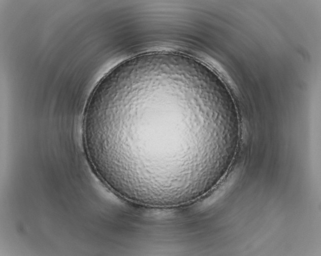 X0000115220802200911121923