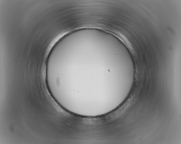 X0000115220804200911121923