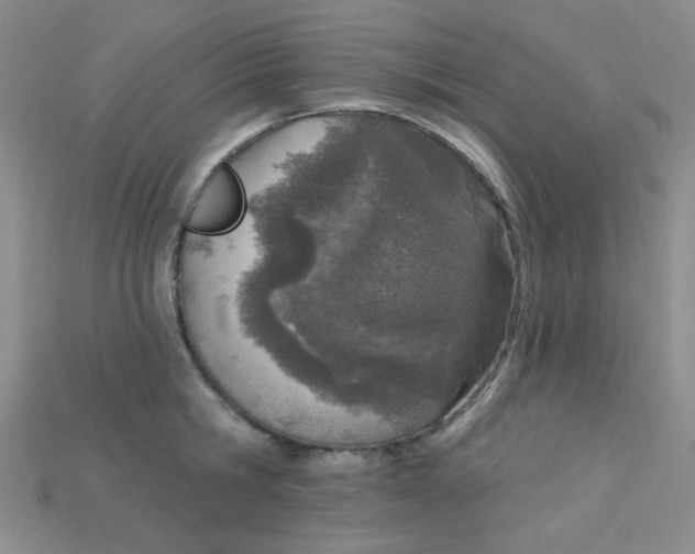X0000115220806200911121923
