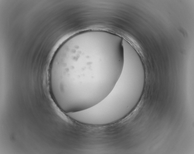 X0000115220808200911121923